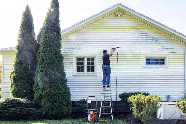 Boat and Dock Cleaning in Momence, IL